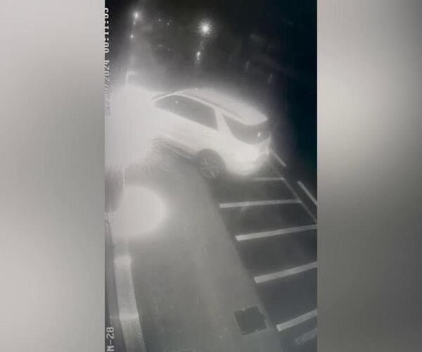 Andrà a processo Cinzia Dal Pino, accusata dell&#039;omicidio volontario col Suv del marocchino che le aveva rubato la borsa