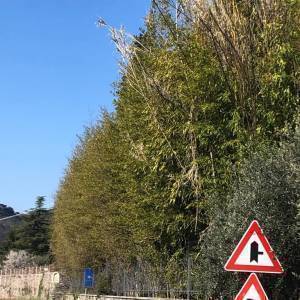 IMG-20220622-WA0010