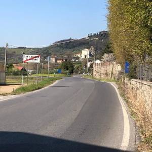IMG-20220622-WA0012